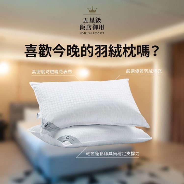 【五星級飯店御用】水沐旅羽絨枕（滿兩件優惠$1,500）